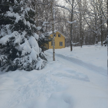 Eco-Hotel Berezovaya Roscha, Yakhroma — photo 4