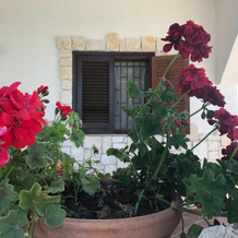 Casa Vacanze Rosa, Melilli — photo 4