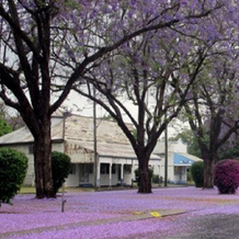Helidon Mineral Spa Resort, 图文巴 — 照片 3