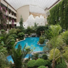 Paradise Hotel, 香格里拉 — 照片 5