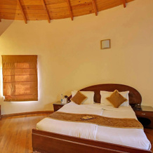 Wood Castle Spa & Resort, Наинитал — фото 3