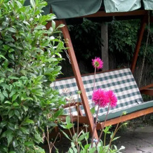 Bramble Cottage, 阿尔弗雷顿 — 照片 2
