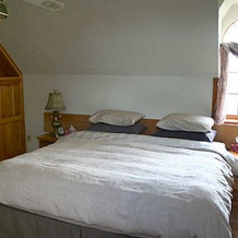 Broecheler Inn, Каюга — фото 4
