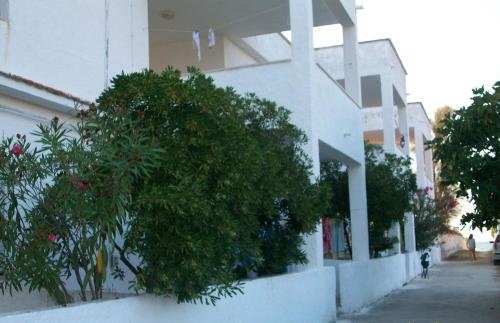 Appartamento Privato Gargano, 莱齐纳 — 照片 1