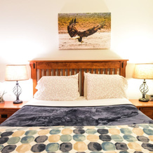 Puffin Place Vacation Rental, 科迪亚克国家野生动物保护区 — 照片 5