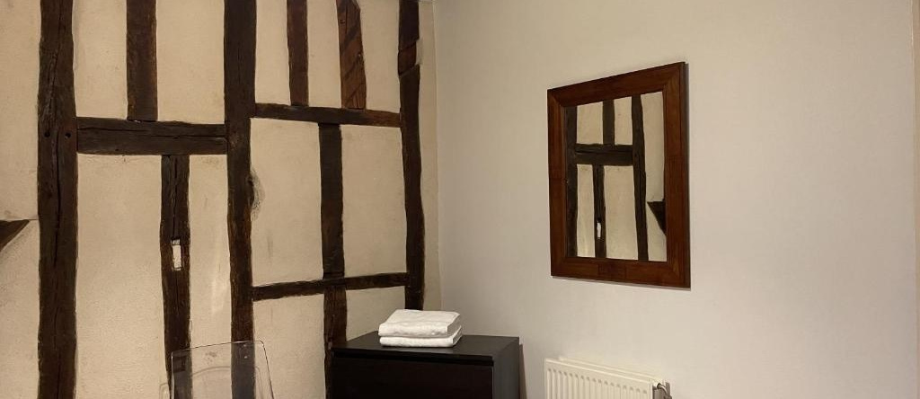 Appartement Le Coche d'Eau Auxerre Les Quais, 欧塞尔 — 照片 1