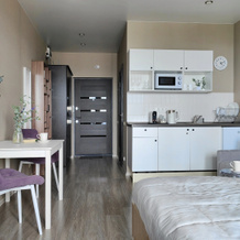 Квартира Velvet С Балконом И Видом На Реку, Иркутск — фото 5
