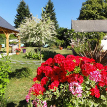 Le Clos des Bérengeries, 科托叙尔卢瓦尔 — 照片 5