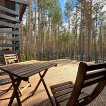 Uedinenny A-Frame V Sosnovom Lesu Private house, Loparskaya — photo 5