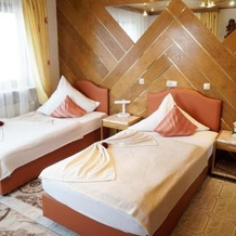 Top Hotel Edingen, 埃丁根-内卡豪森 — 照片 2