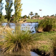 Rental Apartment Les Mas de La Mer - Saint-Cyprien 1 bedroom 4 persons, Saint-Cyprien — photo 3