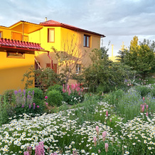 Memo's Italian Taste - GuestHouse Boutique Hotel, 卡拉科尔 — 照片 2
