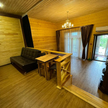 V Dome Olega Mityaeva s Vidom na Ozero Apartments, 黄金海滩 — 照片 5
