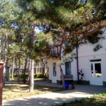 Aleksiya Guest House, 佩索奇诺耶 — 照片 3
