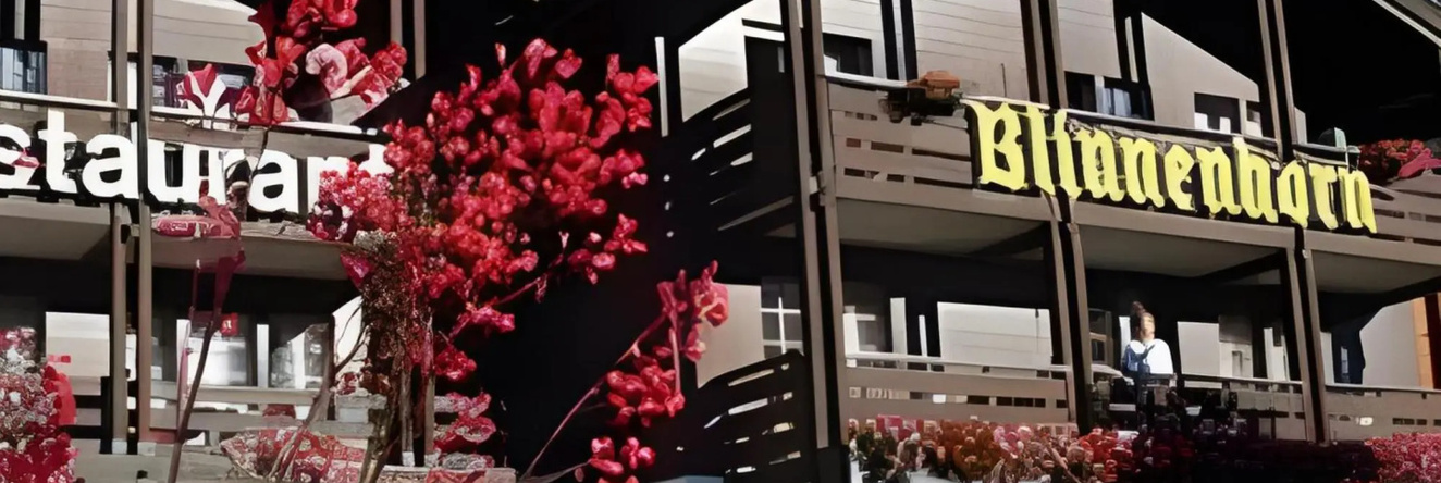 Hotel Restaurant Blinnenhorn, 雷金根-格卢林根 — 照片 1