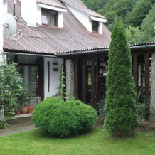 Pensiunea Dumbrăvița, Hateg — photo 5