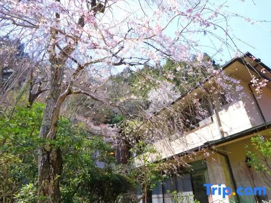 Yoshinoonsen Motoyu, 吉野 — 照片 1