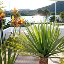 Beach Inn, Alcudia — photo 2