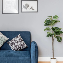 Cloud9Stayz At The Charles 01 & 02, Чертси — фото 4