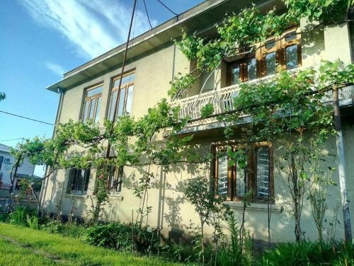 Teya Guest House, 奥恰姆奇拉 — 照片 1