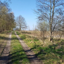 Ferienwohnung oder Monteurunterkunft, 勒茨 — 照片 4