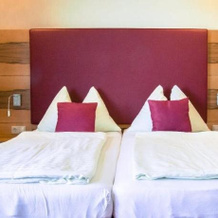 Fischwirtshaus Landmotel Die Donaurast, 多瑙河畔伊布斯 — 照片 2