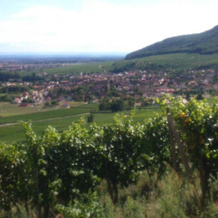 Gîtes & Chambes Dhôtes Fugler, Оршвир — фото 5