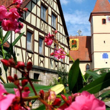 Landgasthof Zum Hirschen, 诺伊西茨 — 照片 2