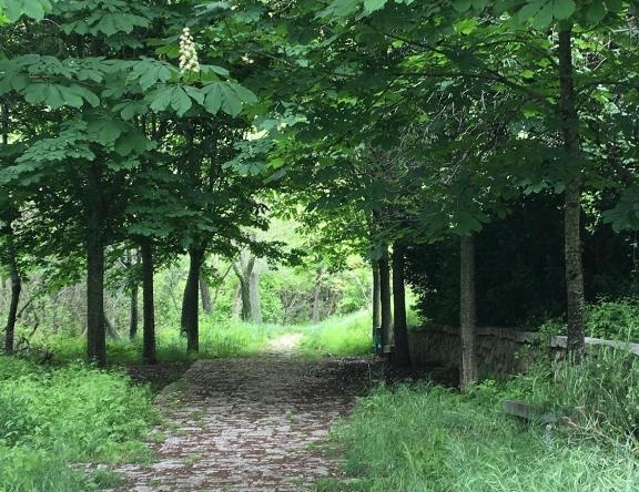 Alojamiento Rural Samburiel, Becerril de la Sierra — photo 1