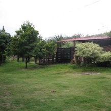 Hostel Finca La Gordita, 科利纳斯德卡拉巴佐 — 照片 2