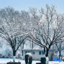Yan'an Heritage Cave Hotel, Yanan — photo 4