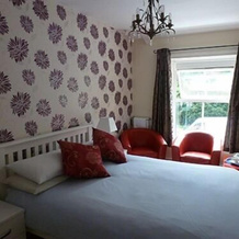 Hedgefield House Hotel, 布莱登泰恩 — 照片 5