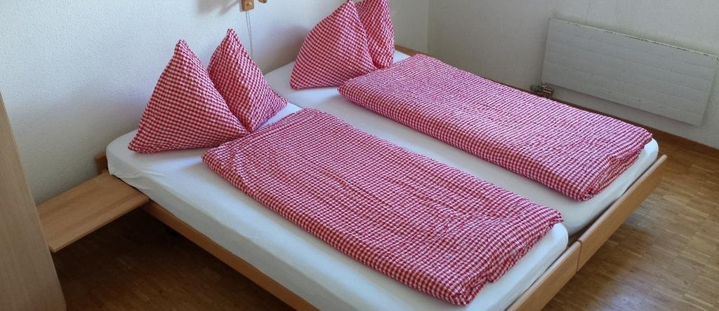 Hotel Berggasthaus Tannalp, 梅尔希塞-弗鲁特 — 照片 1