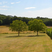 Les Chênes - Périgord, Castelnaud-la-Chapelle — photo 2