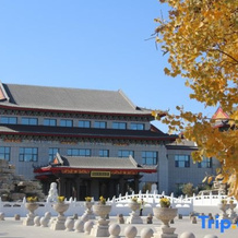 Taolai Holiday Hotel, 埃津 — 照片 3