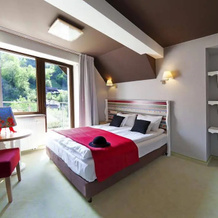 Hotel Piwniczna Spa & Conference, 皮维奇纳兹德鲁伊 — 照片 5