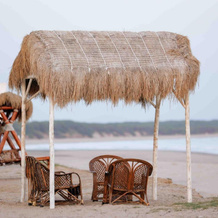 Vayro Resort, Мандви — фото 3