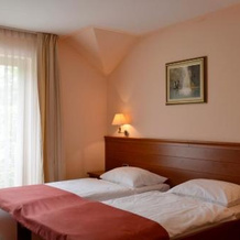 Hotel Mladimir, Daruvar — photo 3