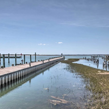 Chincoteague Townhome w/ Pony Views From Deck!, 欣科泰格 — 照片 4