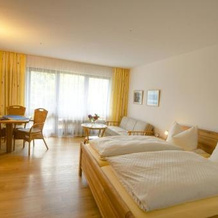 Hotel Therme garni, Bad Birnbach — photo 2