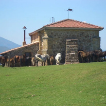 Posada Los Duendes, Molledo — photo 3