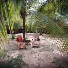 Bar Reef Resort, 科亚瓦迪 — 照片 4