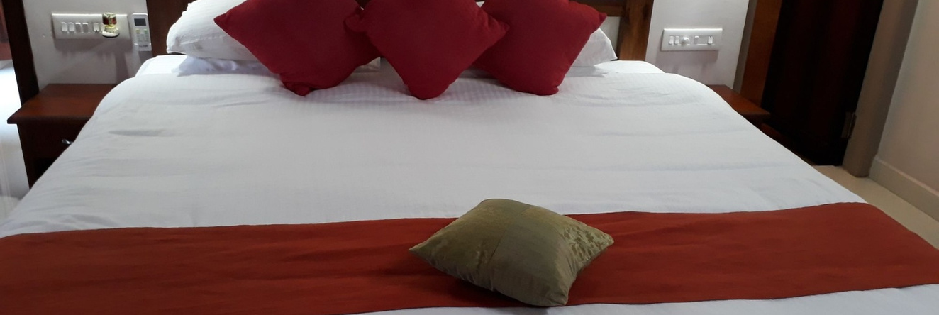 Mannaas Veedu Retreat & Spa, Pathanamthitta — photo 1