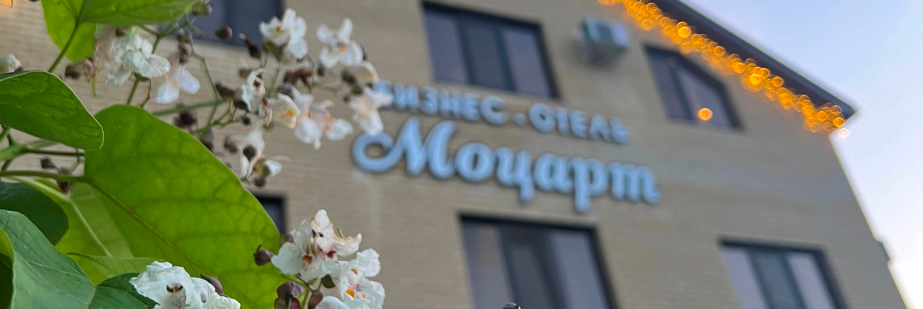 Моцарт, Динская — фото 1
