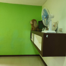 Adelle's Transient, Spacious 3-Bedroom Homestay, Ла Тринидад — фото 4