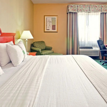 Holiday Inn Hotel & Suites Hattiesburg-University, Хаттисберг — фото 4