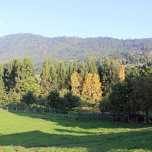 Ranco Village, Лаго-Ранко — фото 5