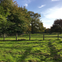 Mizzards Farm Cottage 488046, 彼得斯菲尔德 — 照片 4