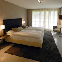 Swiss Alp Resort & Spa, Grindelwald — photo 3