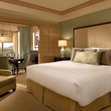 The Canyon Suites At The Phoenician, Luxury Collection, Олд-Таун — фото 4